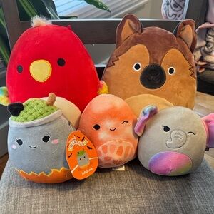 Squishmallows Lot of 5 different Squish plush